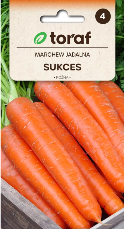 Toraf marchew sukces nasiona 2 sklep rajogrodnika